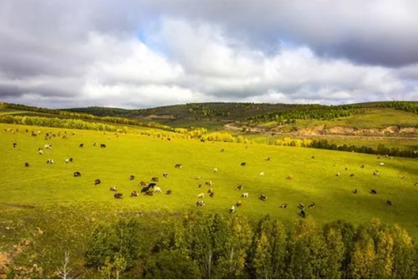 什么是内蒙古必须牢记的国之大者