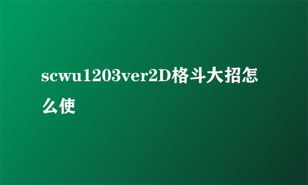 scwu1203ver2D格斗大招怎么使
