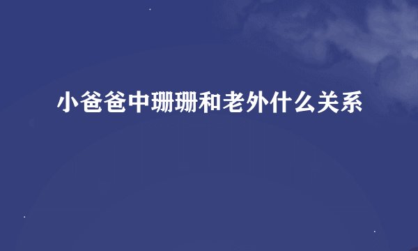 小爸爸中珊珊和老外什么关系