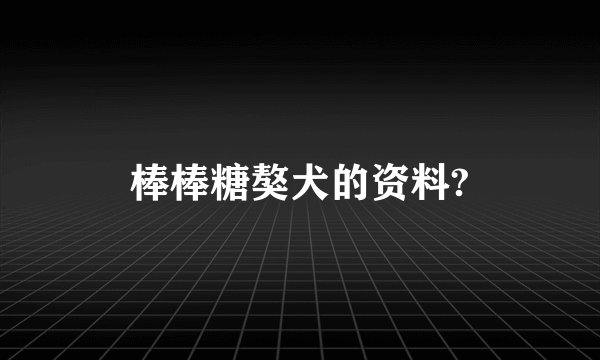 棒棒糖獒犬的资料?