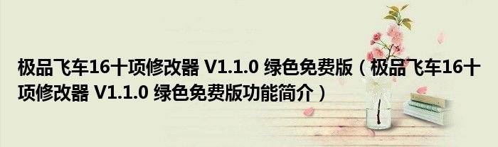 极品飞车16十项修改器V110绿色免费版极品飞车16十项修改器V110绿色免费版功能简介