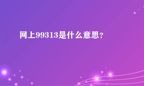 网上99313是什么意思？