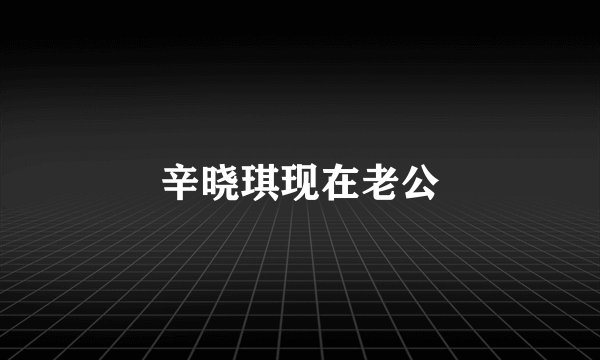 辛晓琪现在老公
