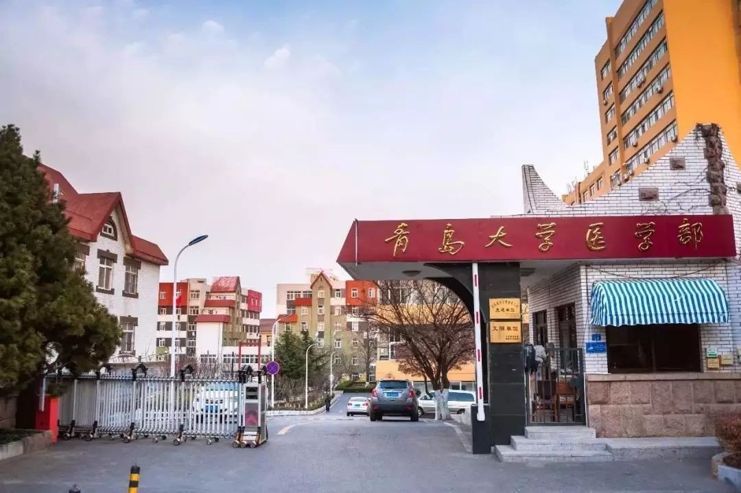 青岛农业大学专科录取分数线2023