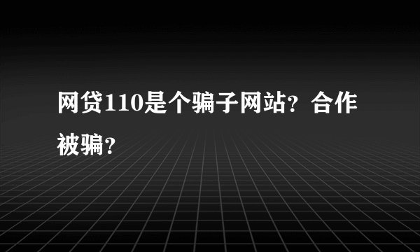 网贷110是个骗子网站？合作被骗？