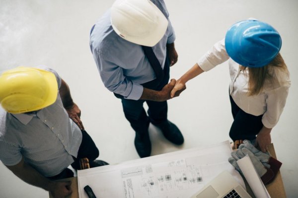 青岛农业大学专科录取分数线2023