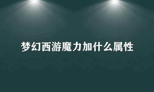 梦幻西游魔力加什么属性