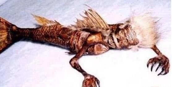 黑鳞鲛人真的存在吗 活着的样子真恐怖超吓人