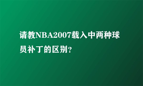 请教NBA2007载入中两种球员补丁的区别？