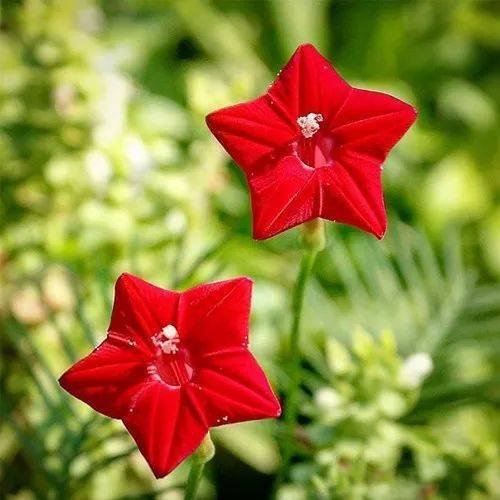 老婆说 我不会当家,我有多少就花多少,不会存钱 该怎么回复?？