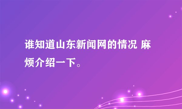 谁知道山东新闻网的情况 麻烦介绍一下。