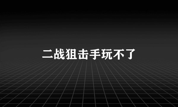 二战狙击手玩不了