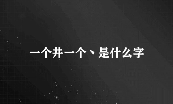 一个井一个丶是什么字
