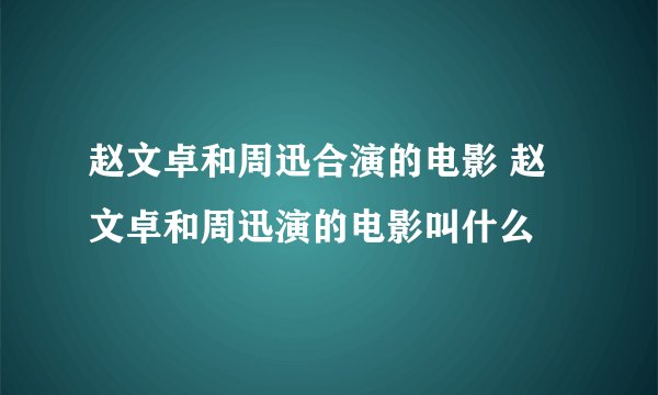 赵文卓和周迅合演的电影 赵文卓和周迅演的电影叫什么