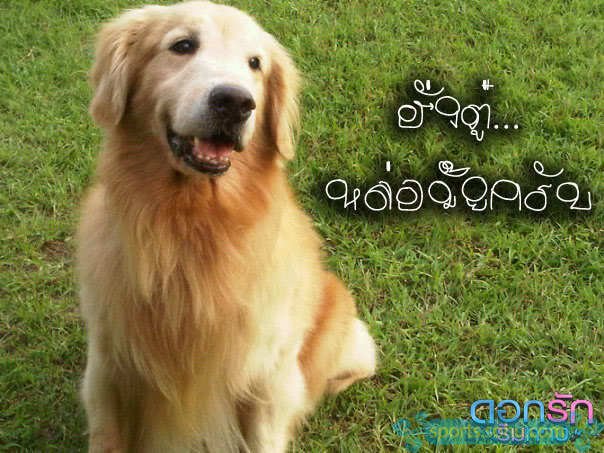 求泰剧，爱在旅途中文配音版的百度云