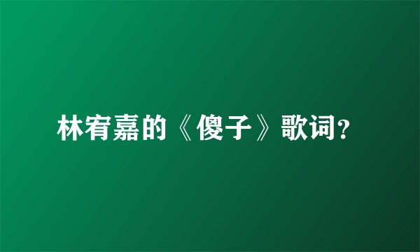 林宥嘉的《傻子》歌词？