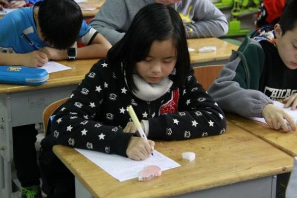 装怯作勇指一生肖