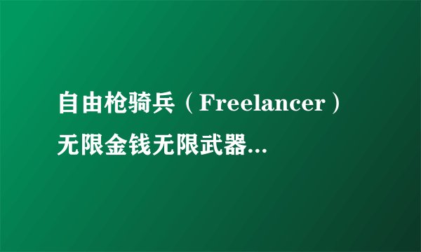 自由枪骑兵（Freelancer）无限金钱无限武器修改器用法