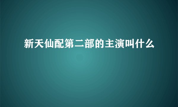 新天仙配第二部的主演叫什么