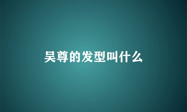 吴尊的发型叫什么