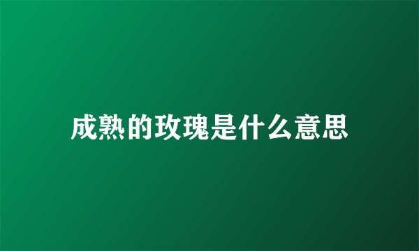 成熟的玫瑰是什么意思