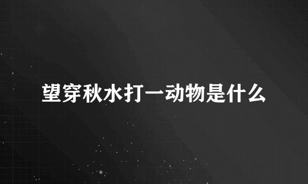 望穿秋水打一动物是什么
