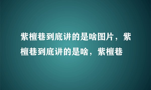 紫檀巷到底讲的是啥图片，紫檀巷到底讲的是啥，紫檀巷