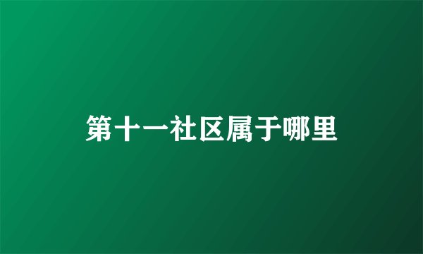第十一社区属于哪里