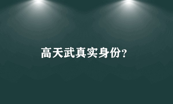 高天武真实身份？