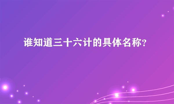 谁知道三十六计的具体名称？