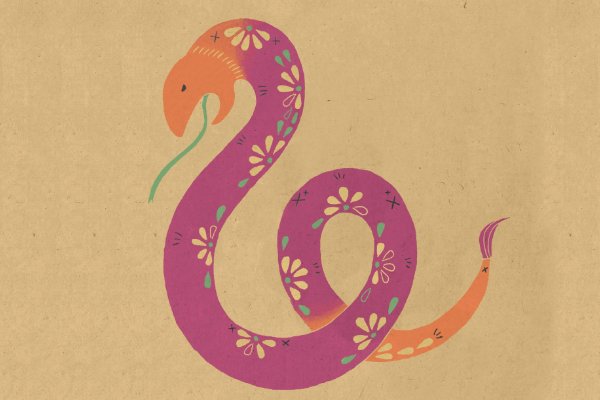 和衣而睡fb容什么生肖