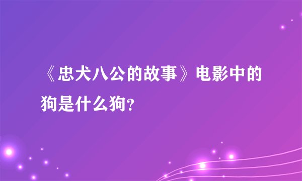 《忠犬八公的故事》电影中的狗是什么狗？
