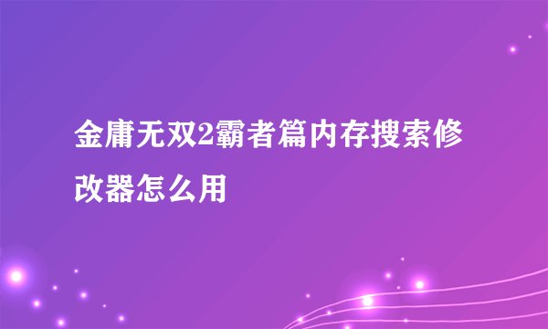 金庸无双2霸者篇内存搜索修改器怎么用