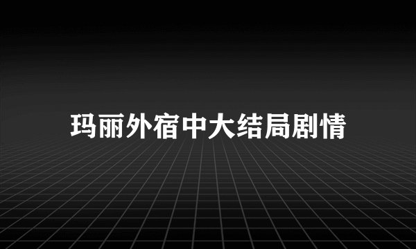 玛丽外宿中大结局剧情