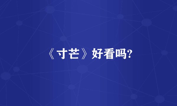 《寸芒》好看吗?