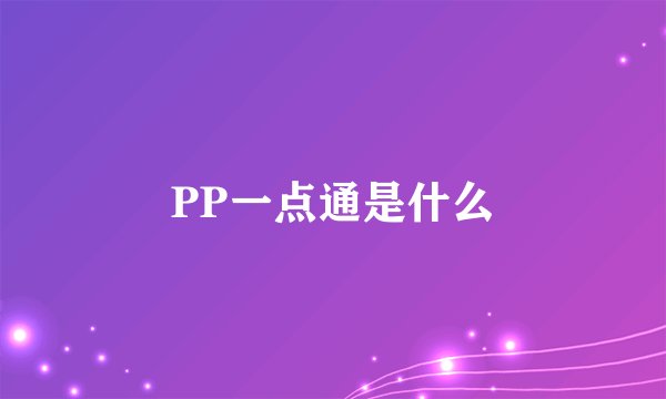 PP一点通是什么