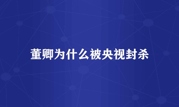 董卿为什么被央视封杀