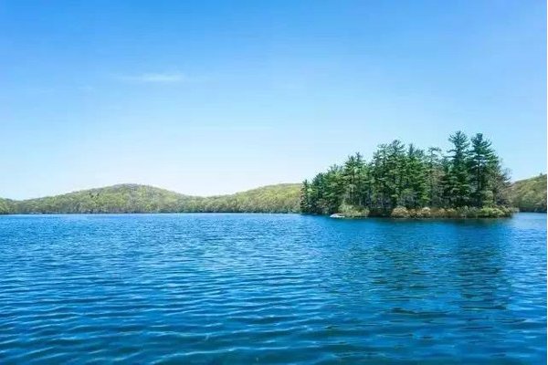 大自然的语言有哪些?