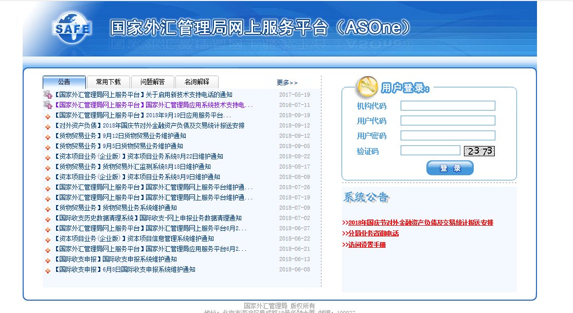 如何登陆 国家外汇管理局网上服务平台？