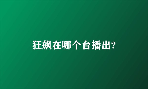 狂飙在哪个台播出?