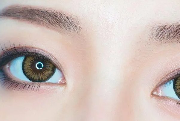 古人将哪个器官称为七情之虹