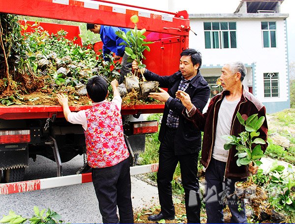 巴东百姓网的介绍