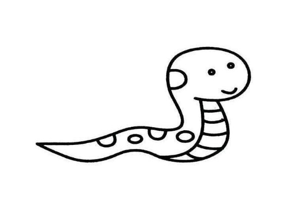 有影无踪打一准生肖