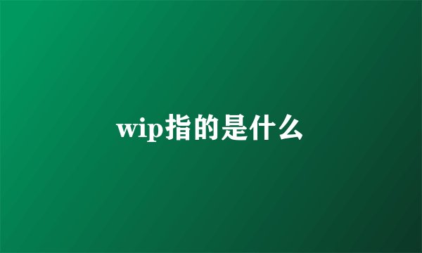 wip指的是什么