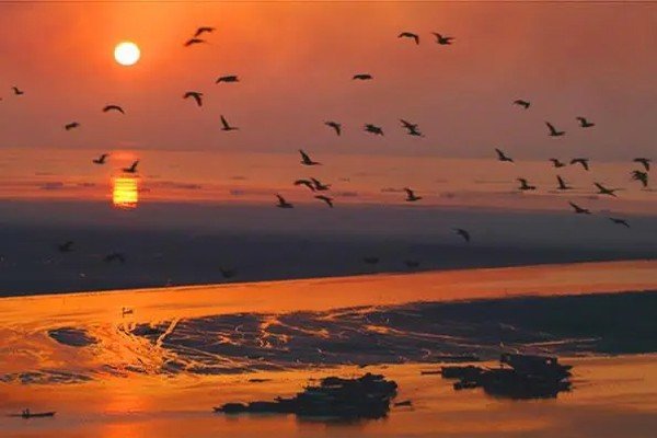 气蒸云梦泽指的是哪个湖泊