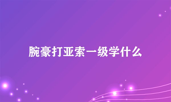 腕豪打亚索一级学什么