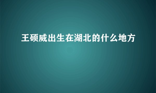王硕威出生在湖北的什么地方