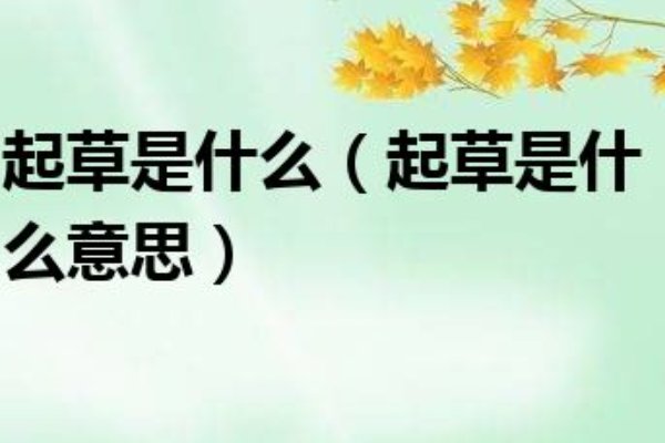 起草是什么意思