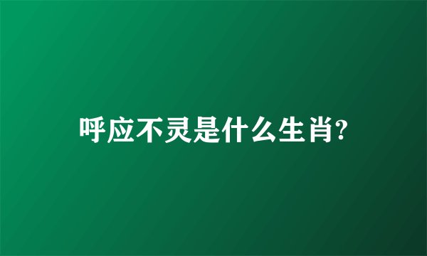 呼应不灵是什么生肖?