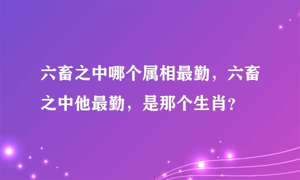 六畜之中哪个属相最勤，六畜之中他最勤，是那个生肖？